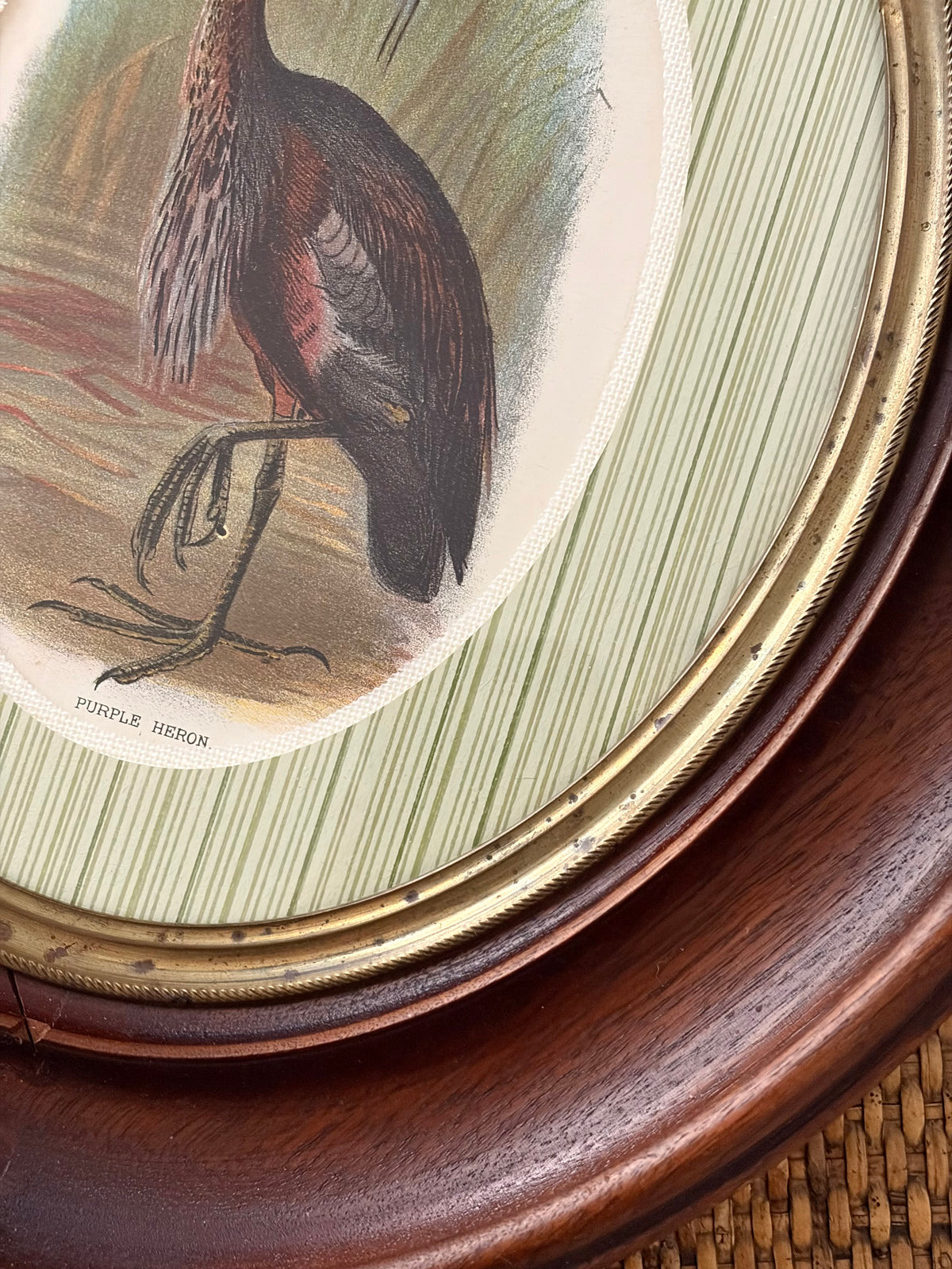 Antique Heron Print