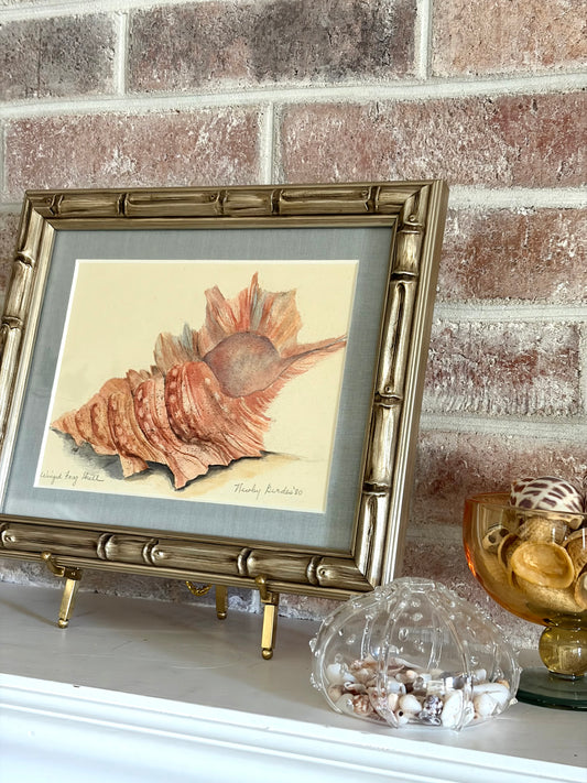Vintage Framed Original Shell Watercolor