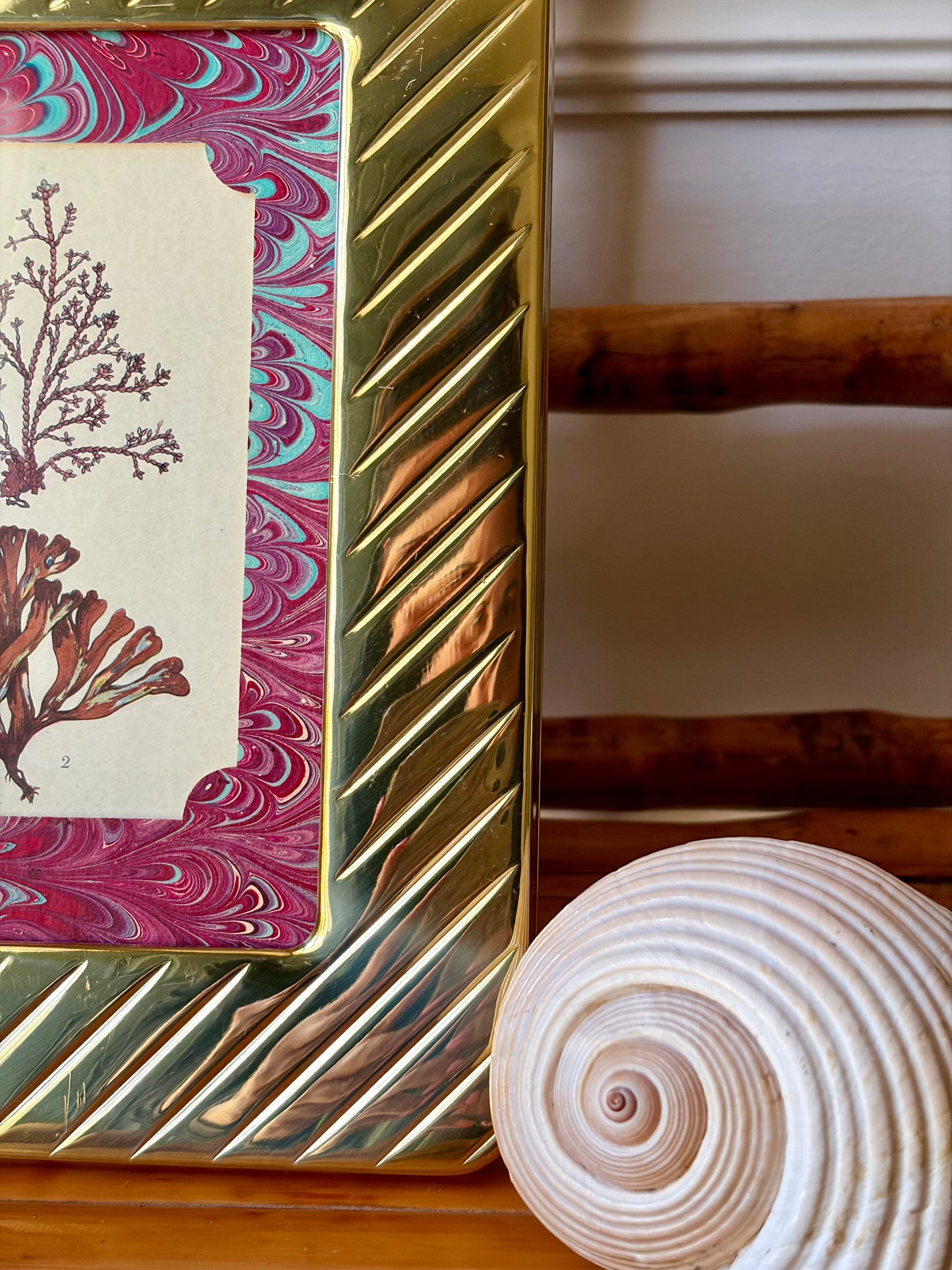 Framed Antique Coral Print