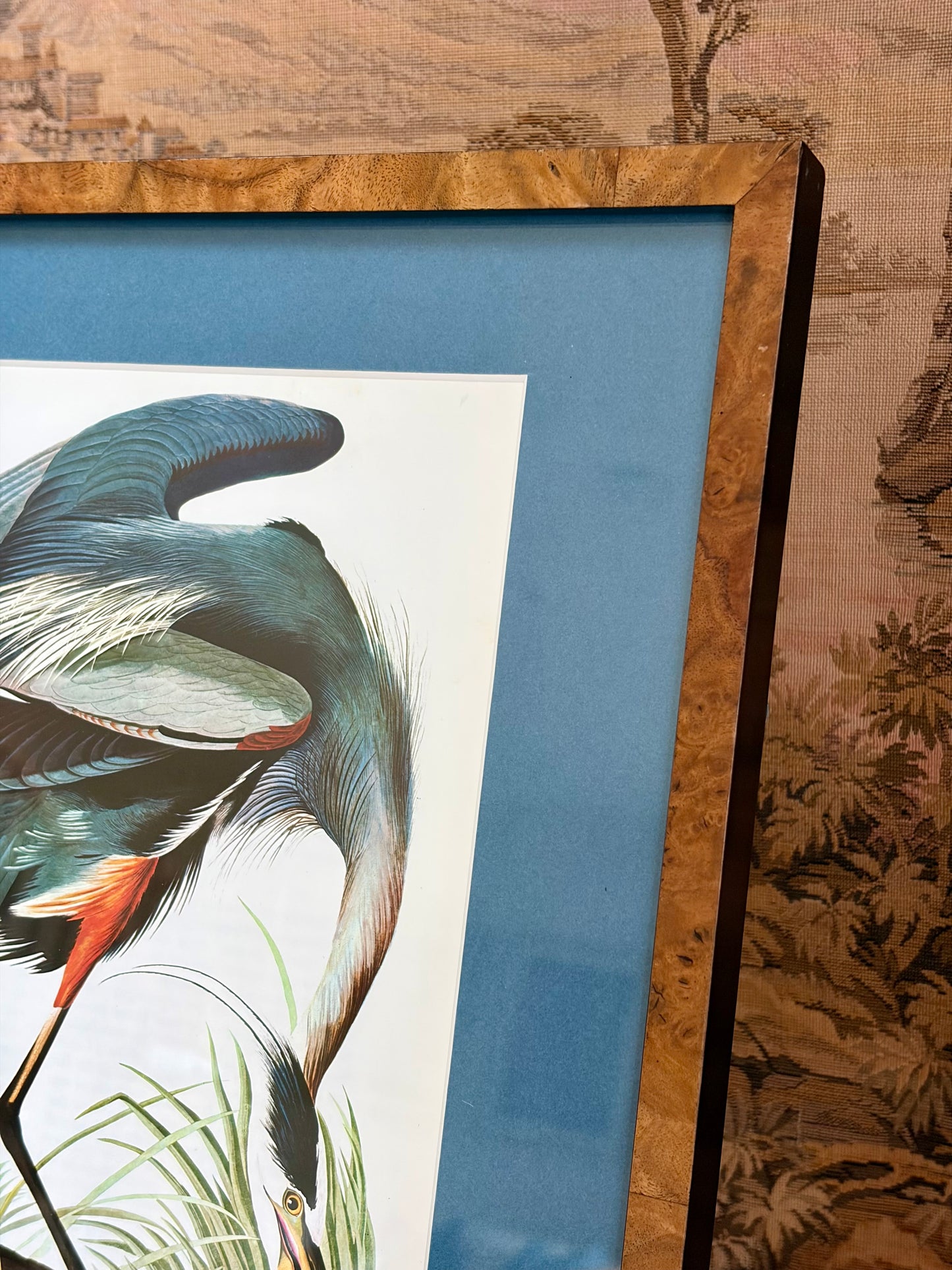 Great Blue Heron Plate 6