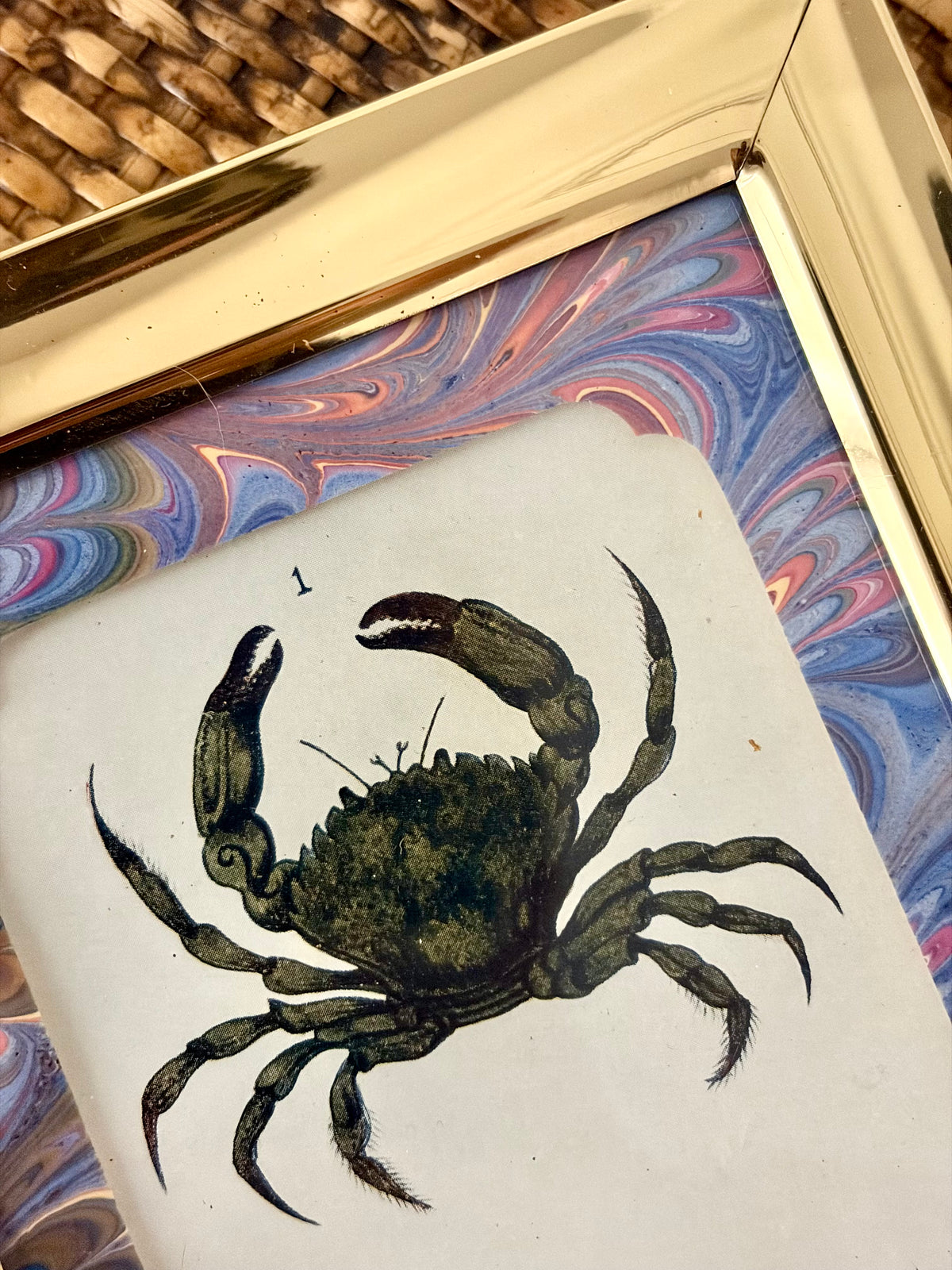 Antique Crab Print