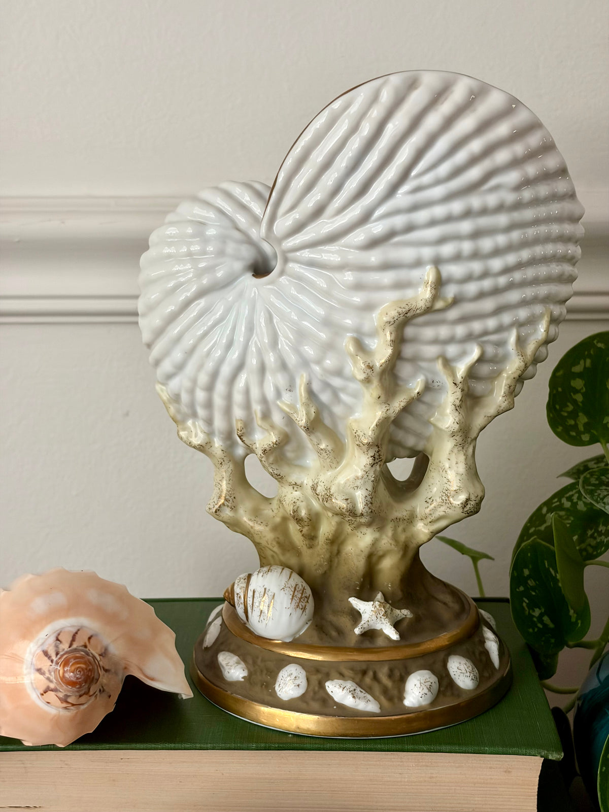 Vintage Nautilus Shell Vessel