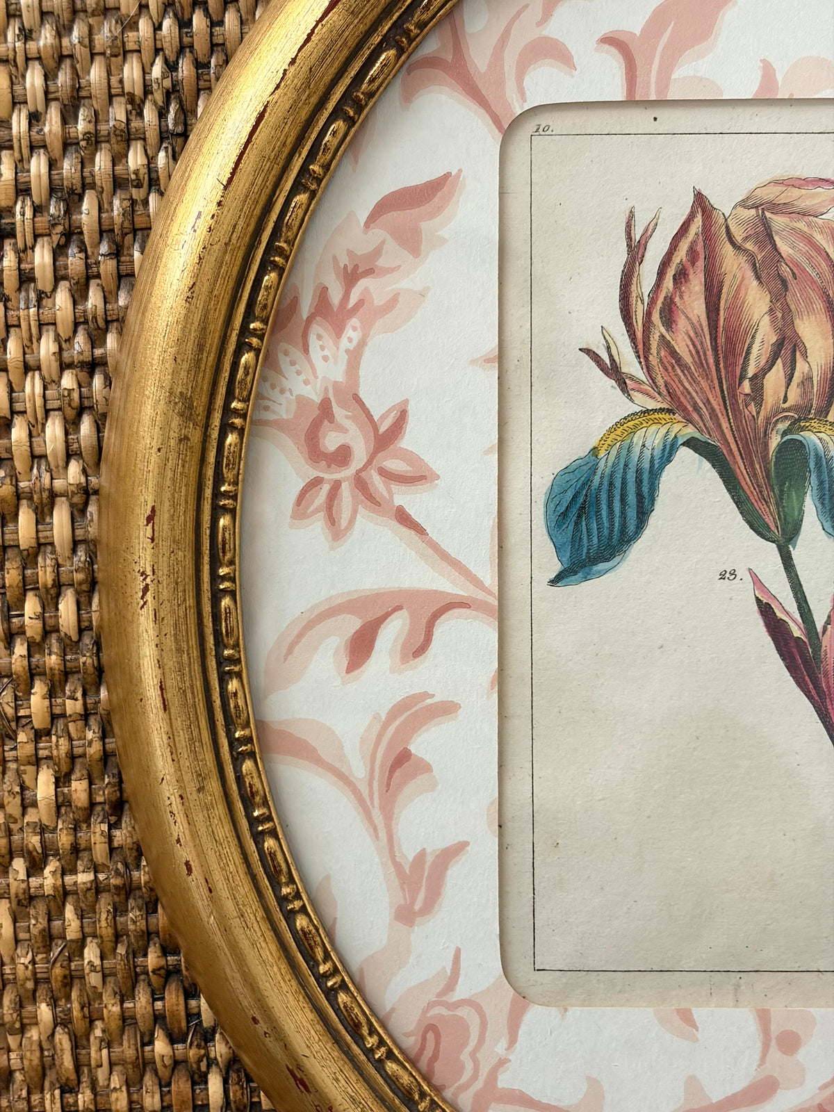 Antique Flower Print