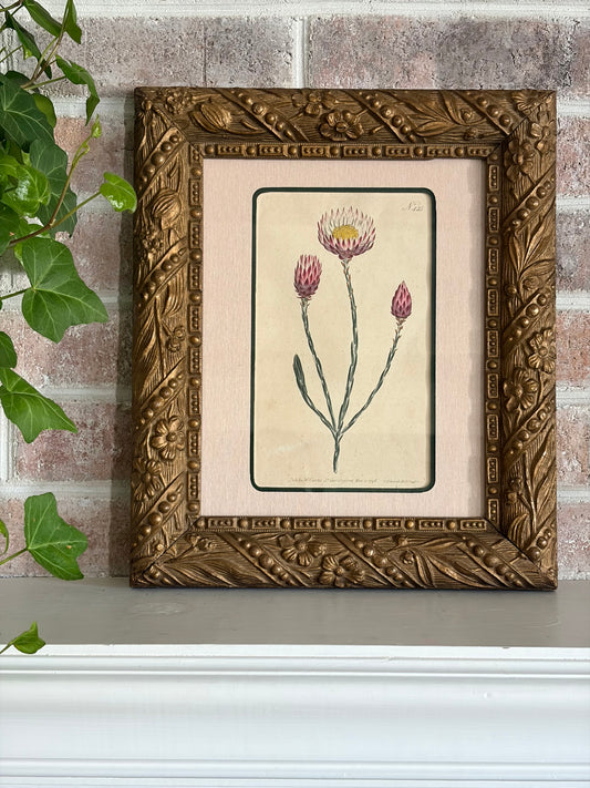 Antique Floral Engraving