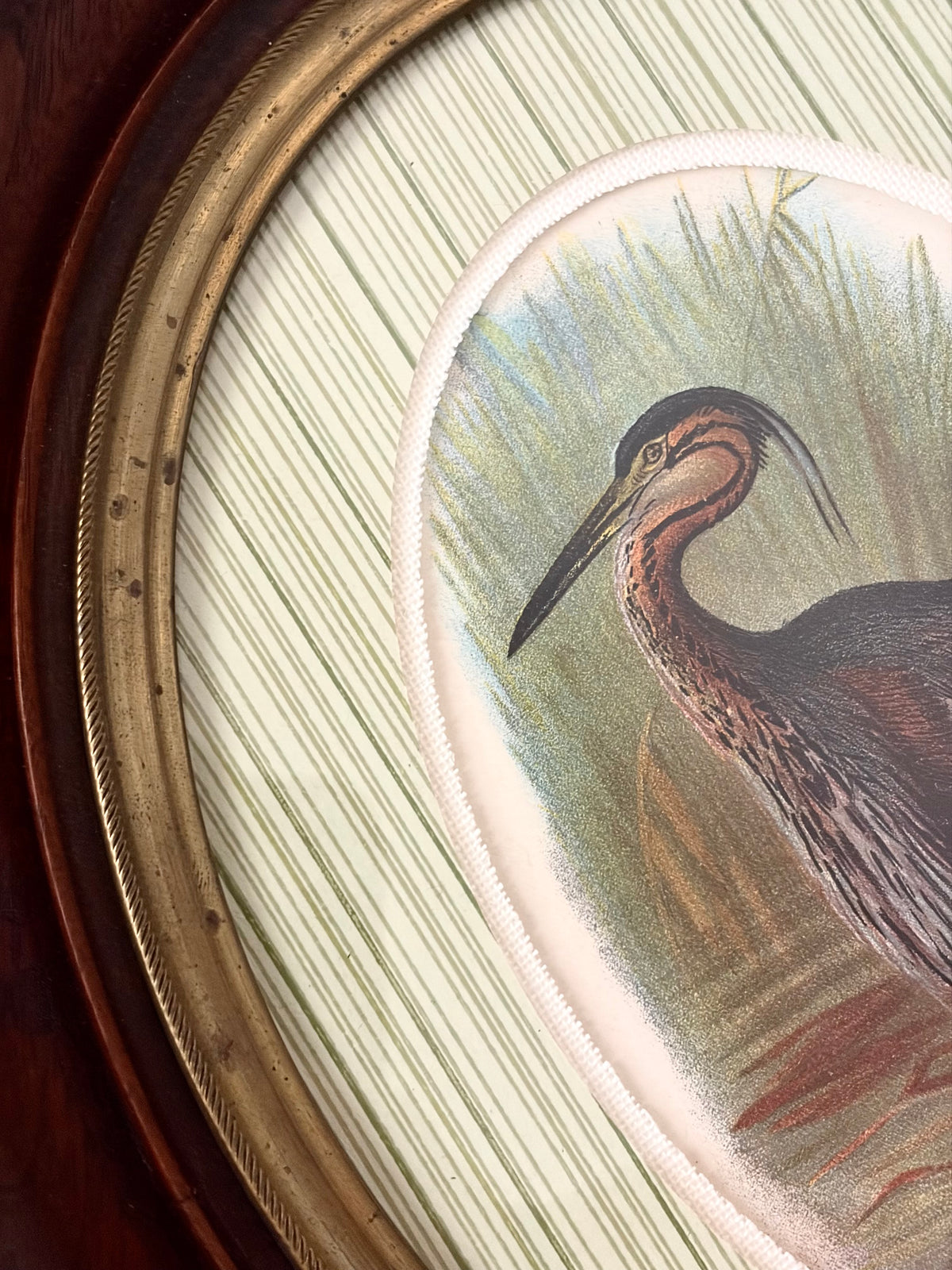 Antique Heron Print