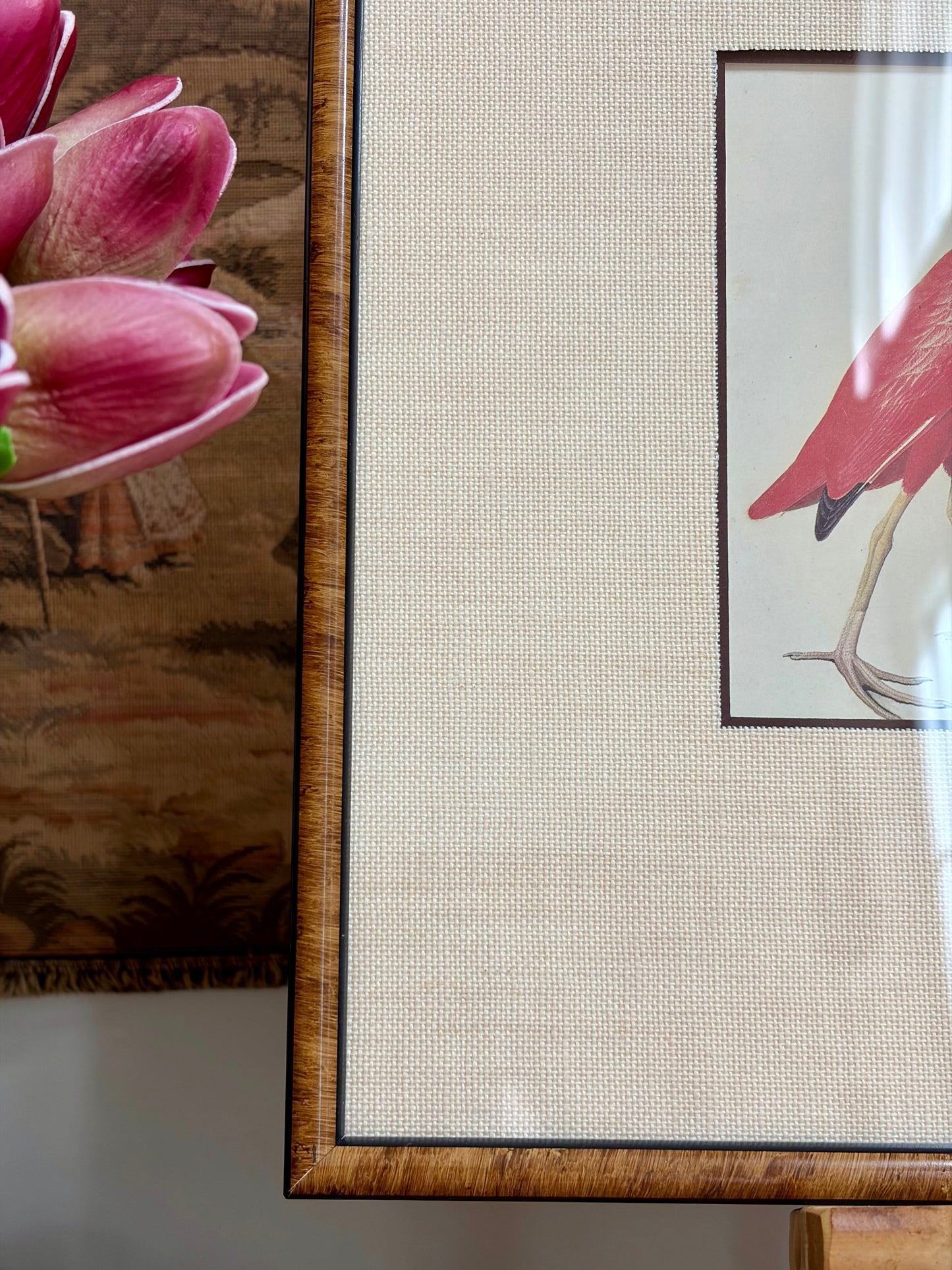 Scarlet Ibis Plate 179