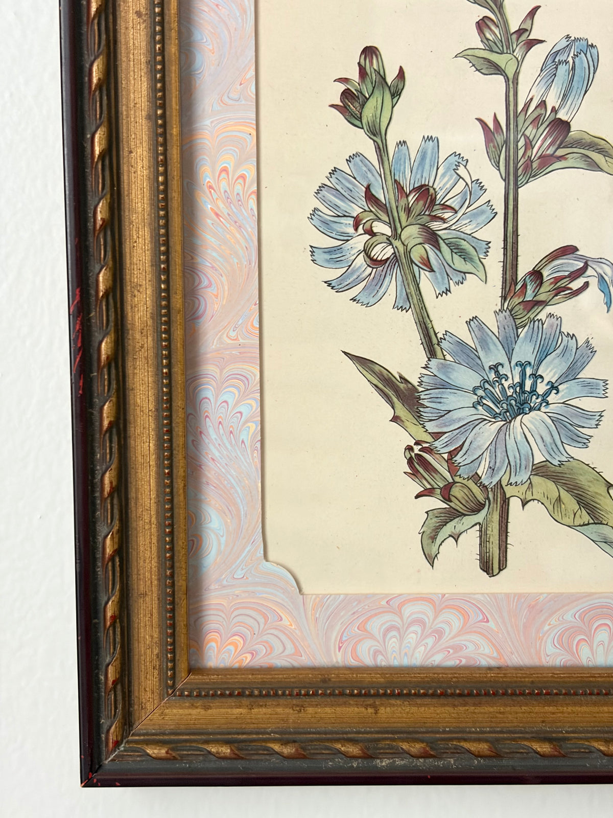 Vintage Flower Print