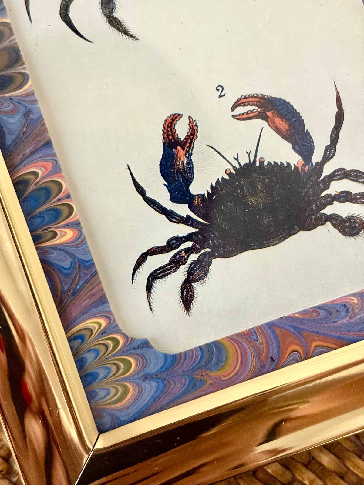 Antique Crab Print