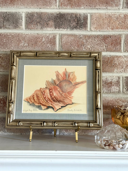 Vintage Framed Original Shell Watercolor