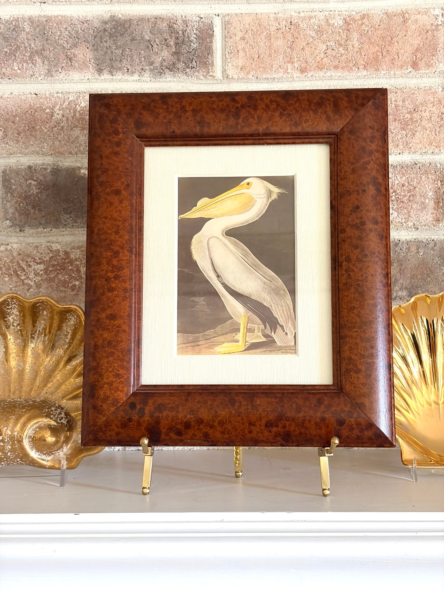 Vintage Framed White Pelican Audubon Bookplate