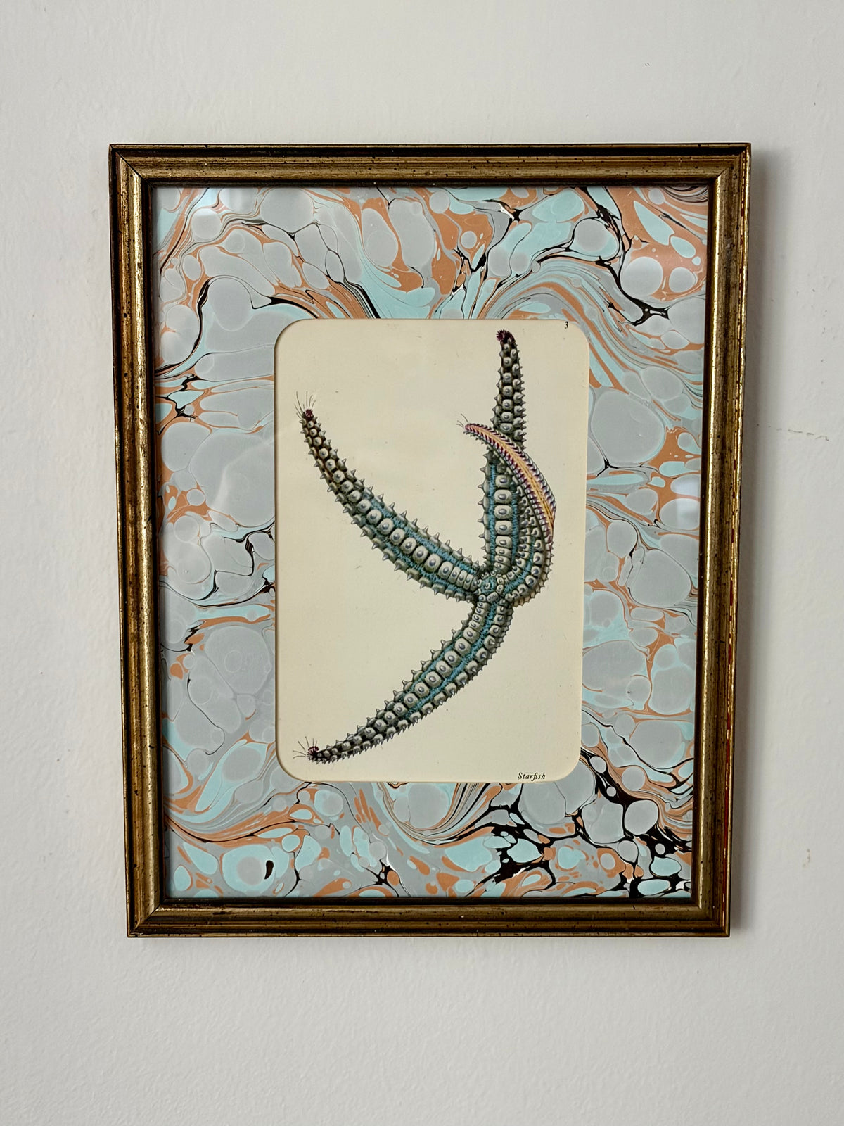 Vintage Starfish Print