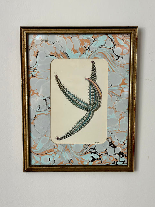 Vintage Starfish Print