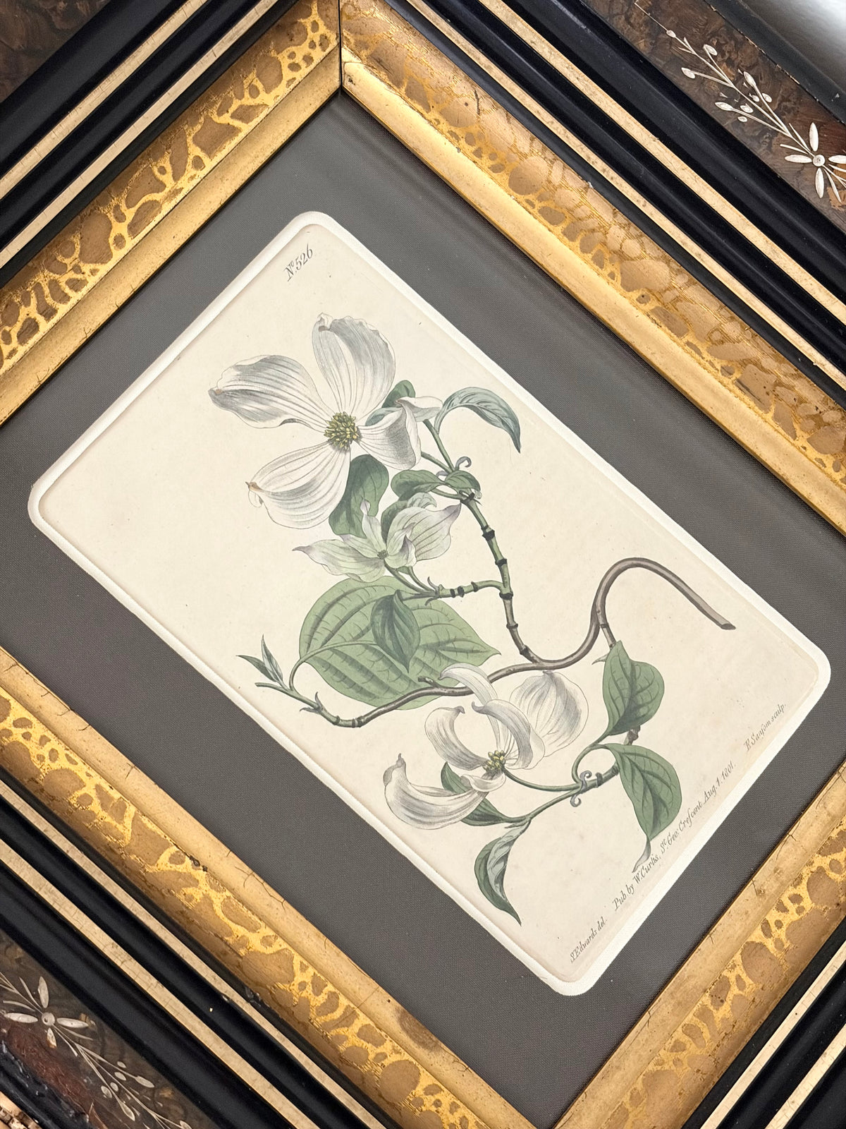 Antique Dogwood Engraving