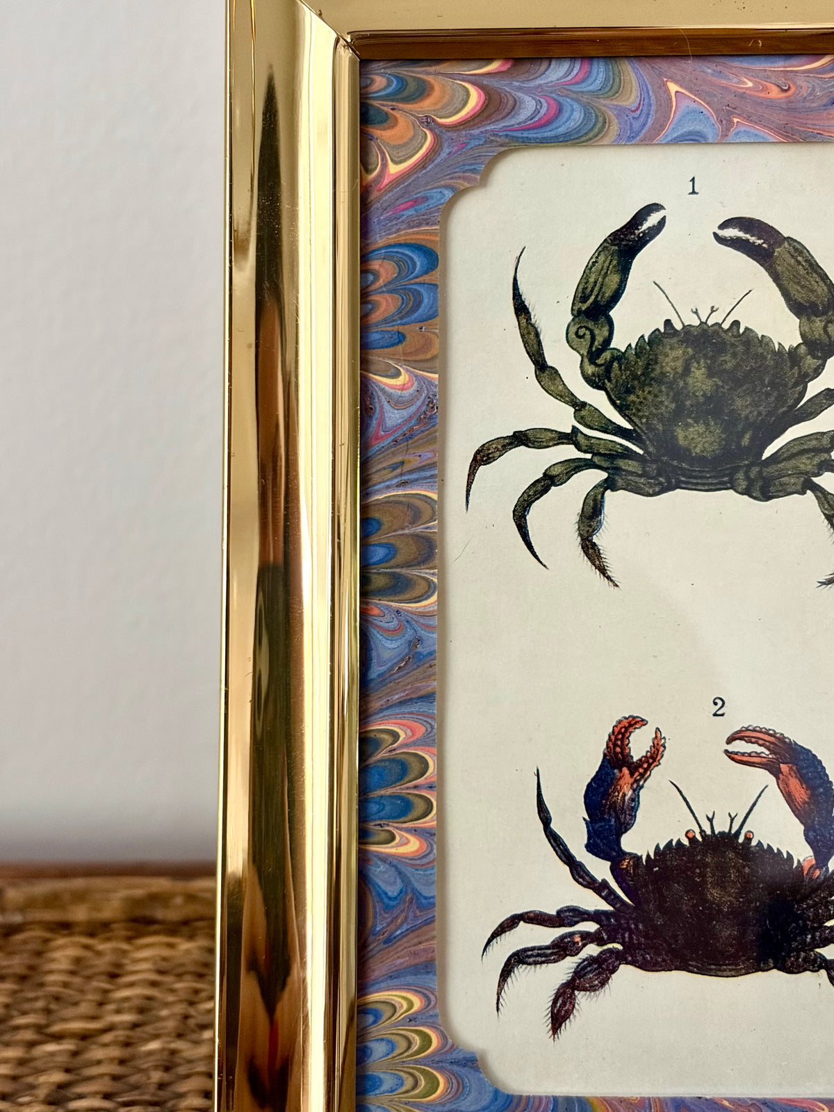 Antique Crab Print