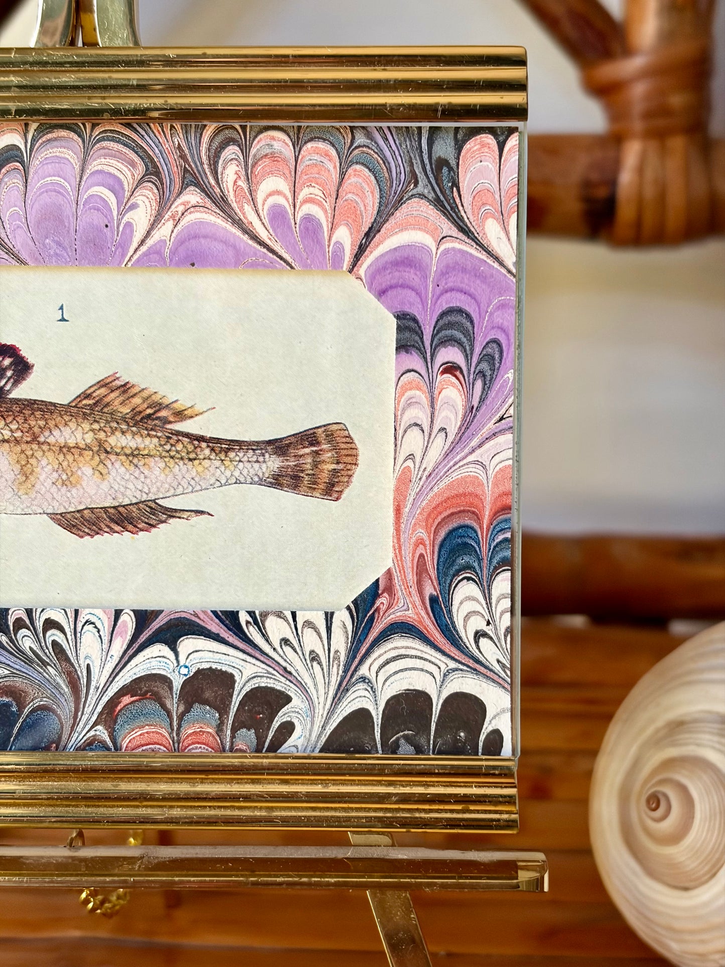 Framed Antique Fish Print