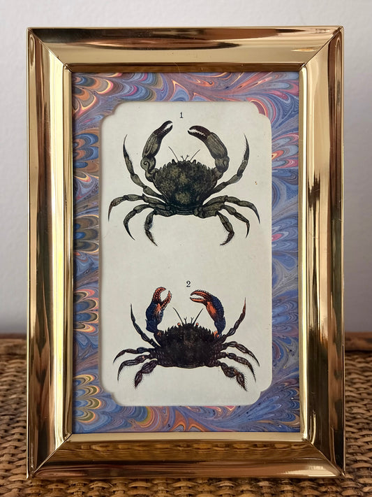 Antique Crab Print