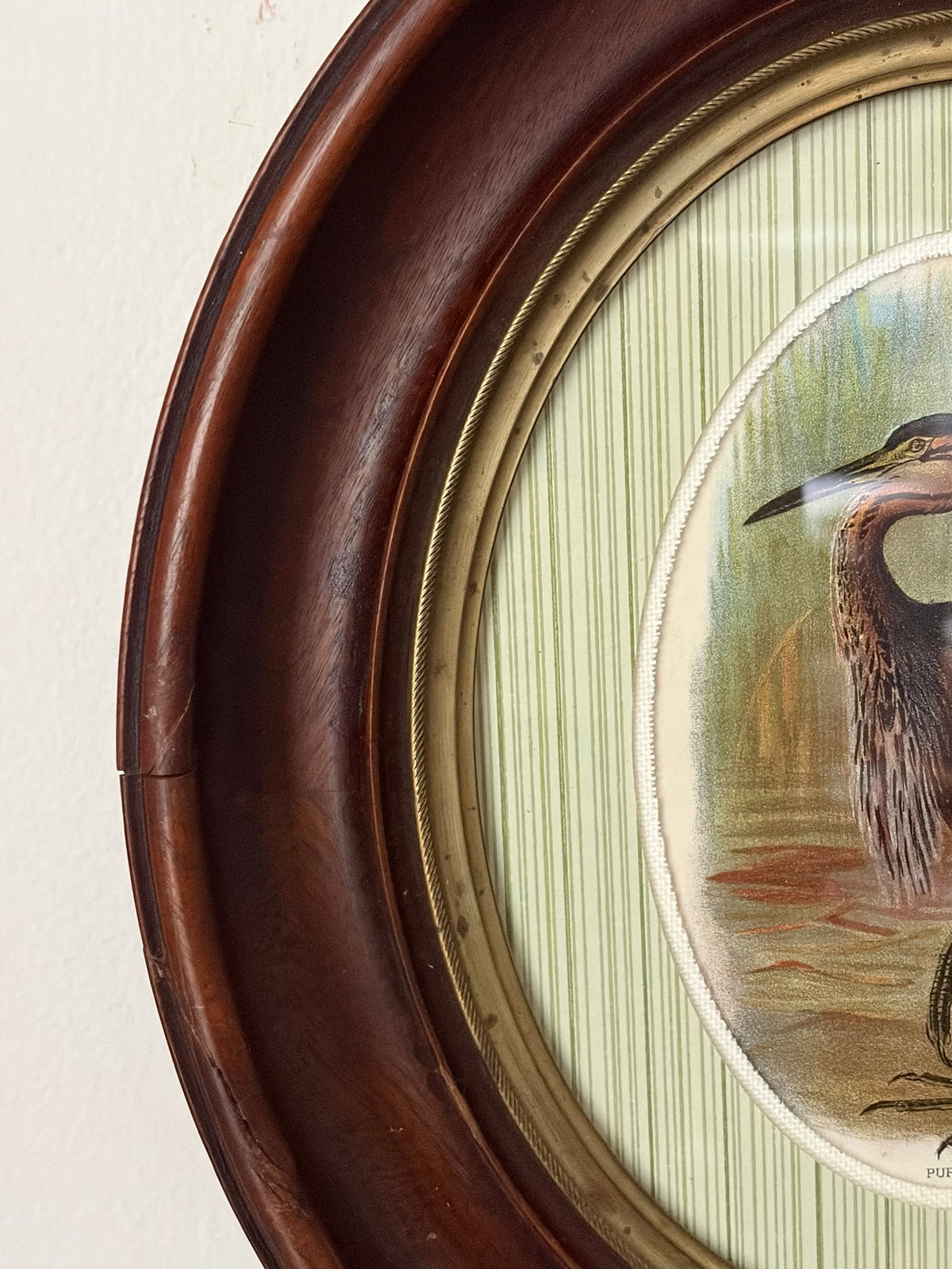 Antique Heron Print