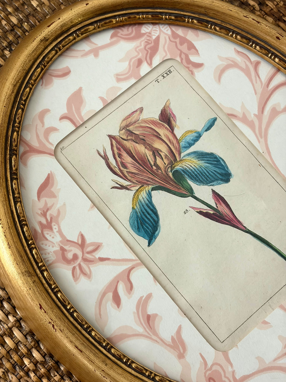 Antique Flower Print