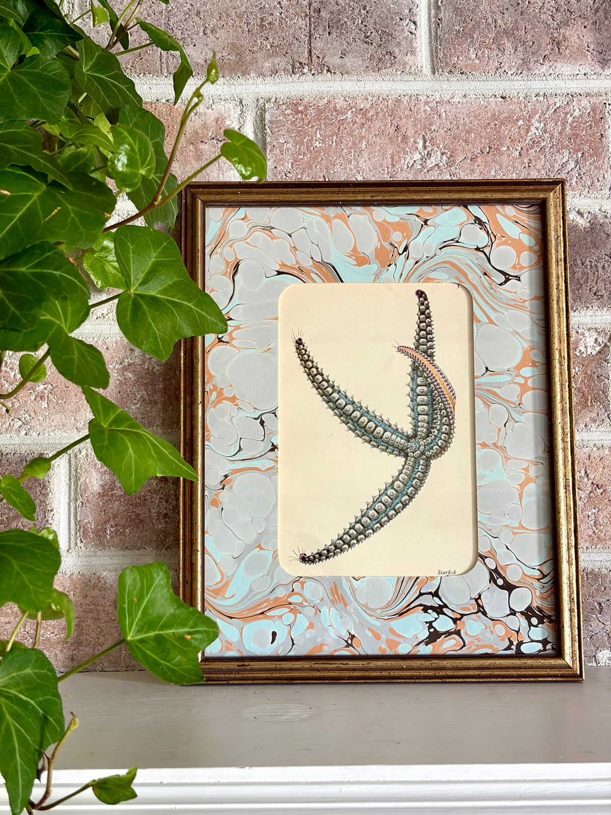Vintage Starfish Print